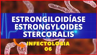 ESTRONGILOIDÍASE  ESTRONGYLOIDES STERCORALIS  PARASITOLOGIA  INFECTOLOGIA [upl. by Ardnait]