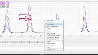 LabSolutions LCGC Workstation Basic Data Analysis [upl. by Enej]