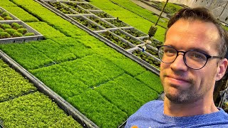 Exclusive Tour of the Tropica Aquarium Plants Moss Facility [upl. by Hnaht]