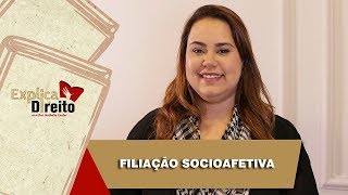 Explica Direito Filiação Socioafetiva  2019 [upl. by Eniahs]