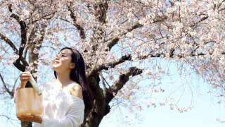 さくらさくら  Sakura Sakura  Japanese traditional folk song [upl. by Arutak]