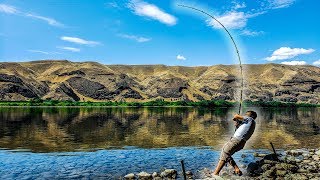 Bank Fishing for River Monsters  Columbia River Washington [upl. by Bible]