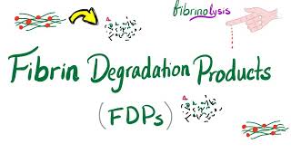 Fibrin Degradation Products FDPs [upl. by Aihsa]