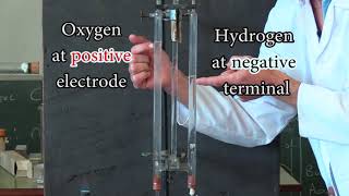 Electrolysis of water in a Hoffman apparatus [upl. by Eliza]