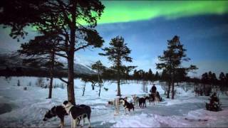 Aurora Borealis Kiruna in Swedish Lapland [upl. by Schach]