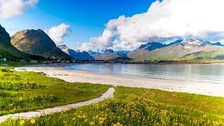 Uplifting Music  light positive happy music Gullrosøya  1 hour [upl. by Hafirahs627]