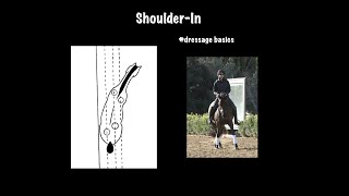 ShoulderIn A Fundamental Movement in Dressage Training [upl. by Toft]