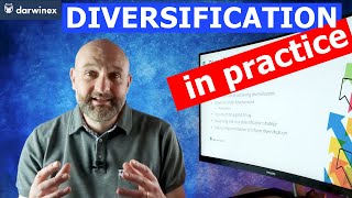 31 Implementing Portfolio Diversification Strategies  Practical Implications [upl. by Adar]