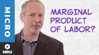 The Marginal Product of Labor [upl. by Hobbs413]