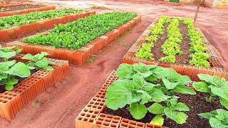 COMO FAZER UMA HORTA EM CASA EM 1 MINUTO PASSO A PASSO [upl. by Ignatia]