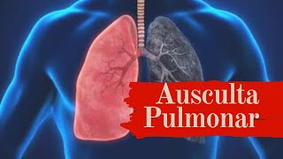 Ausculta Pulmonar  roncos sibilos estertores  ruídos adventícios [upl. by Ostler]