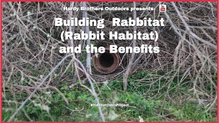 26 Building and Managing Rabbit Habitat Rabbitat on the Habitat Oasis Project in SE Ohio [upl. by Duntson]