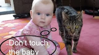 Amazing Cat protecting babies [upl. by Kiri540]