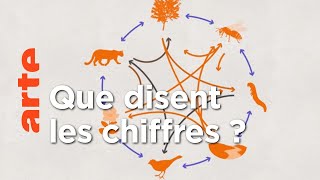 Mesurer la perte de la biodiversité  Data Science  ARTE [upl. by Dukey350]