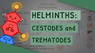 Helminths Cestodes and Trematodes transmission clinical importance and treatment [upl. by Thurber871]