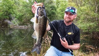 Bank Fishing Ponds for Bass [upl. by Shana459]