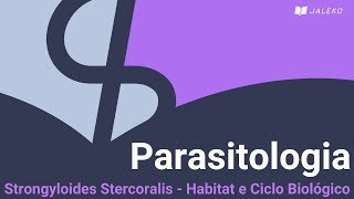 Parasitologia Strongyloides Stercoralis  Habitat e Ciclo Biológico [upl. by Oterol]