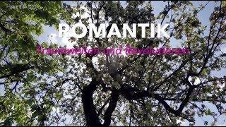 Epoche Romantik Zusammenfassung [upl. by Ydualc]