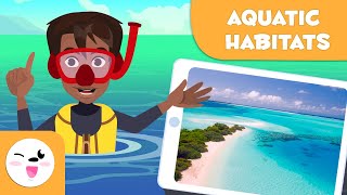 Explore Aquatic Habitats  Types of Habitats for Kids [upl. by Armbruster]