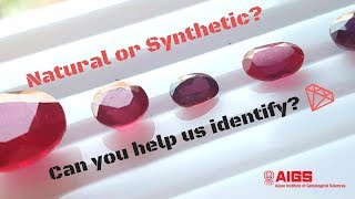 Identify 5 different Rubies [upl. by Bartko367]