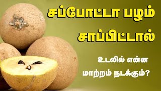 Sapota Fruit Health Benefits  Chikoo Fruit  Tamil Health Tips [upl. by Weinshienk221]