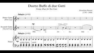 Gioacchino Rossini  Duetto buffo di due gatti [upl. by Levitt476]