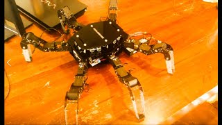 Hexapod Robot with Raspberry Pi  Python Code [upl. by Ylliw]