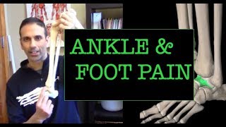 Ankle amp Foot Pain Mobilize your talus and fibula [upl. by Nwahsiek]