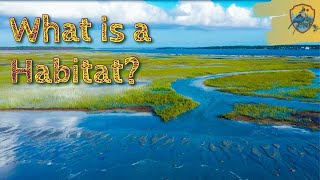 What Is A Habitat  Educational Videos for Kids [upl. by Orelia]