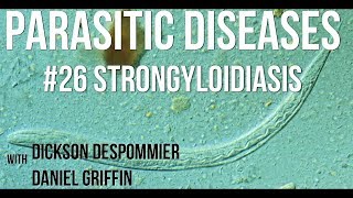 Parasitic Diseases Lectures 26 Strongyloidiasis [upl. by Arutek]