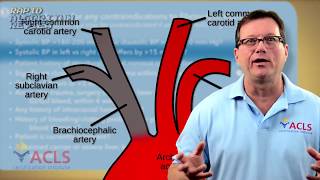 Fibrinolytic Therapy Checklist [upl. by Maggy792]