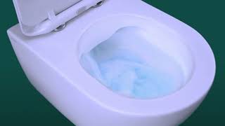 What are Rimless Toilets [upl. by Joni]