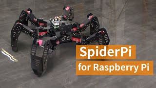 Hiwonder SpiderPi AI Intelligent Visual Hexapod Robot Powered by Raspberry Pi [upl. by Henri]