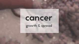 Cancer growth amp spread [upl. by Rech]