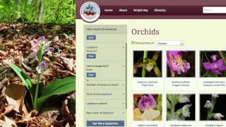 Go Orchids A Guide to Identifying Orchids [upl. by Austine]