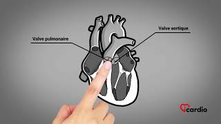 Anatomie du coeur  version française [upl. by Pudendas]