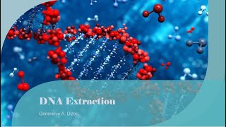 DNA Extraction [upl. by Sarene]