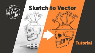 Convert Drawings Into VECTOR Graphics • Illustrator amp Procreate Tutorial [upl. by Edmondo557]