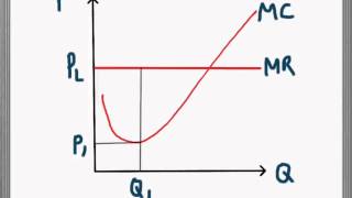 Marginal Cost and Marginal Revenue [upl. by Canice]