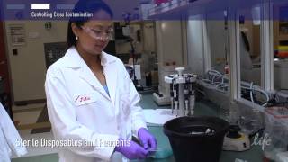 How to Control Contamination in PCR lab [upl. by Coe809]