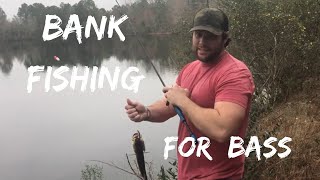 G2GO Guide to Georgia Outdoors Bank Fishing [upl. by Dalston]