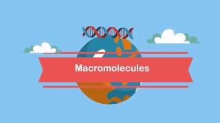 MacromoleculesA Beginners Guide [upl. by Wandy]