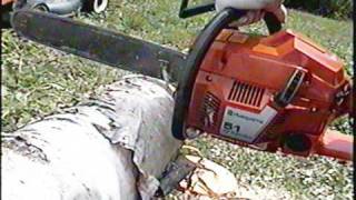 Husqvarna 51 Chainsaw Start Up amp TEST CUT [upl. by Sirtimid]