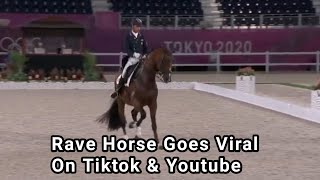 Rave Horse Mopsie Rages in Olympic Dressage Freestyle  Rave Horse Goes Viral  MRN News Tv [upl. by Brelje]