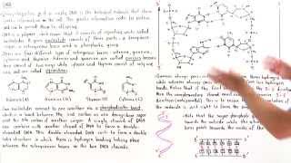 Introduction to DNA [upl. by Kelcie]