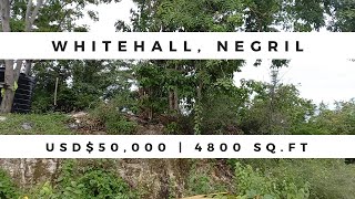 Residential Land for Sale in White Hall Negril Westmoreland [upl. by Horlacher344]