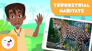 Explore Terrestrial Habitats  Types of Habitats for Children [upl. by Warfourd]