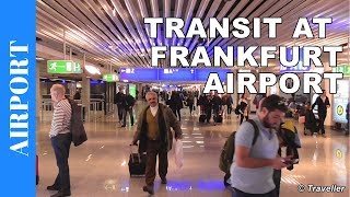 TRANSIT WALK AT FRANKFURT Airport FRA Terminal 1  Connection Flight Transfer Arriving amp Departing [upl. by Wehhtam]