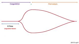 Thromboelastography [upl. by Eenoj]